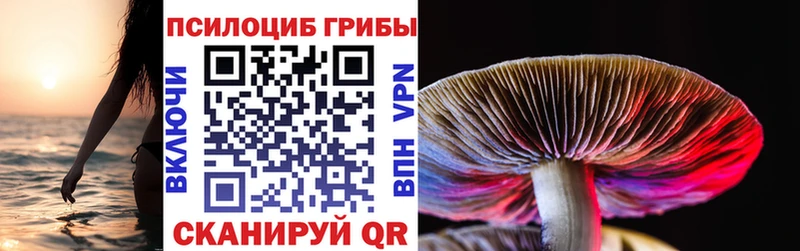 Псилоцибиновые грибы ЛСД  где можно купить наркотик  Рыбное 
